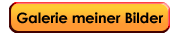 Galerie meiner Bilder