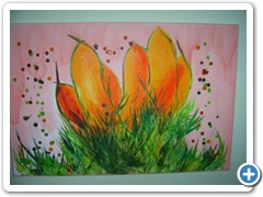 bild20